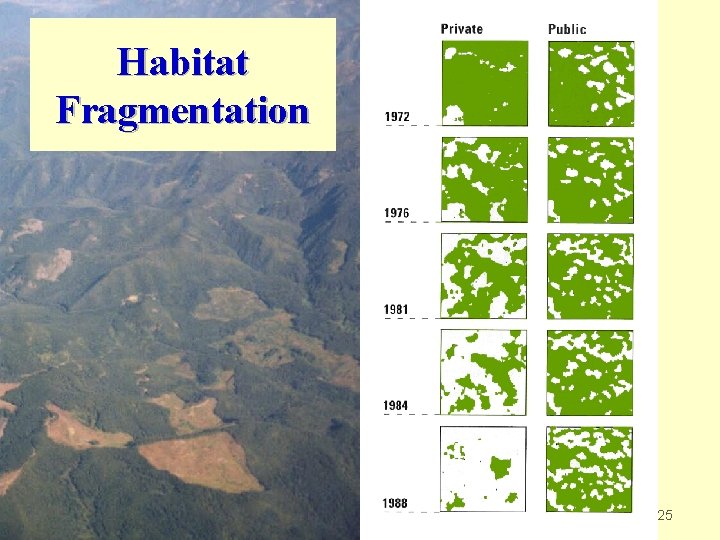 Habitat Fragmentation 25 