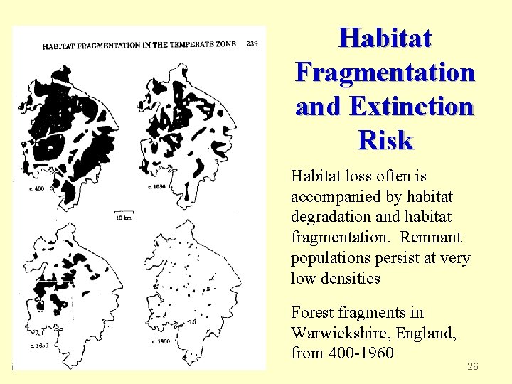 Habitat Fragmentation and Extinction Risk Habitat loss often is accompanied by habitat degradation and