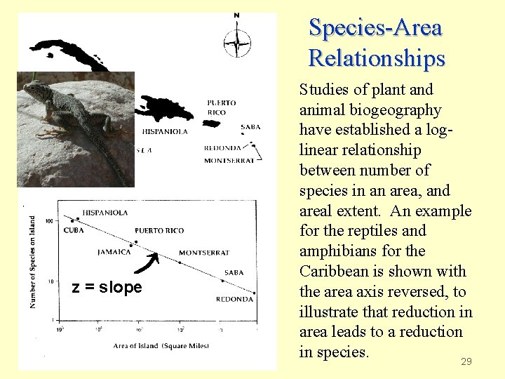 Species-Area Relationships z = slope Studies of plant and animal biogeography have established a