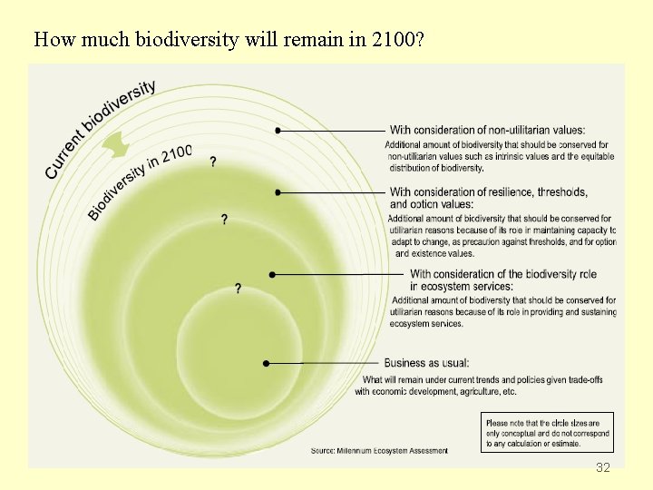 How much biodiversity will remain in 2100? 32 