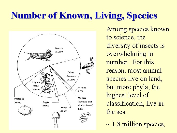 Number of Known, Living, Species Among species known to science, the diversity of insects