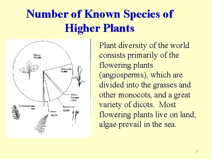 Number of Known Species of Higher Plants Plant diversity of the world consists primarily