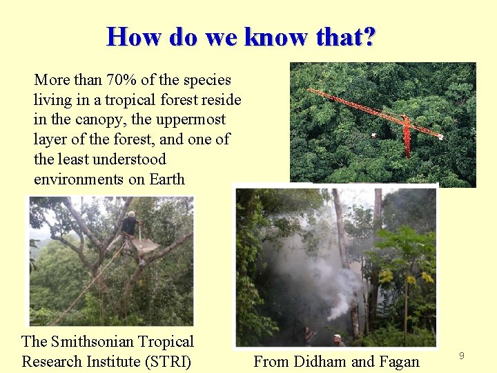 How do we know that? More than 70% of the species living in a