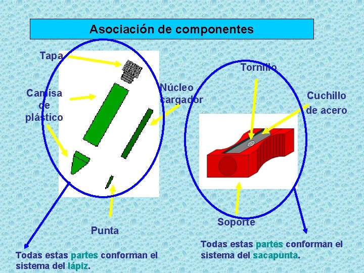 Asociación de componentes Tapa Tornillo Núcleo cargador Camisa de plástico Punta Todas estas partes