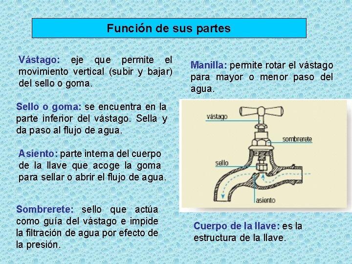 Función de sus partes Vástago: eje que permite el movimiento vertical (subir y bajar)