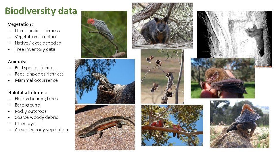 Biodiversity data Vegetation: - Plant species richness - Vegetation structure - Native / exotic