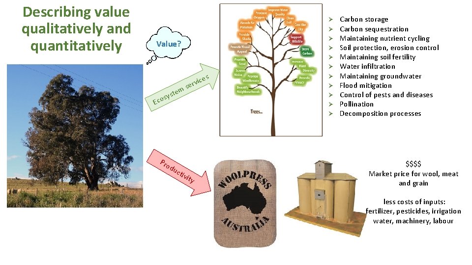 Describing value qualitatively and quantitatively Value? s tem sys o c E Pro du