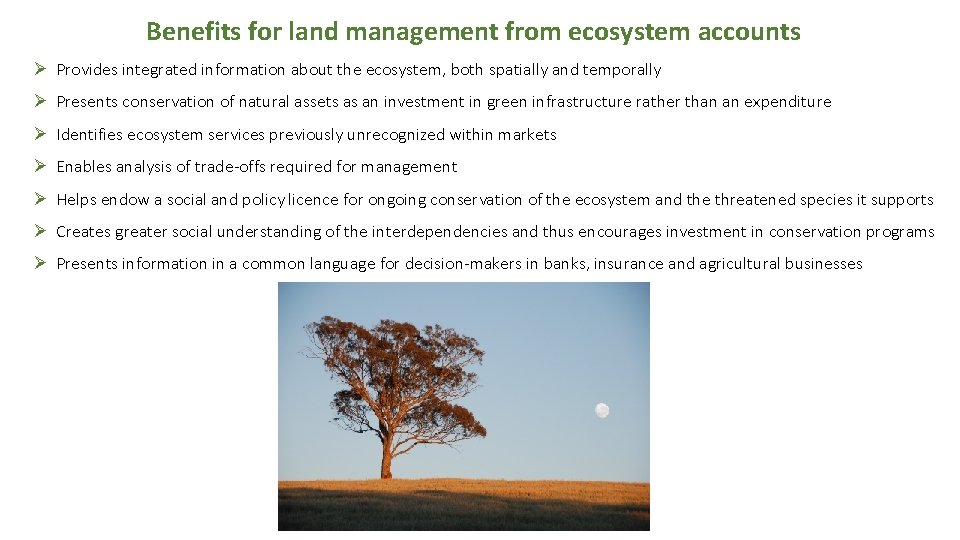 Benefits for land management from ecosystem accounts Ø Provides integrated information about the ecosystem,