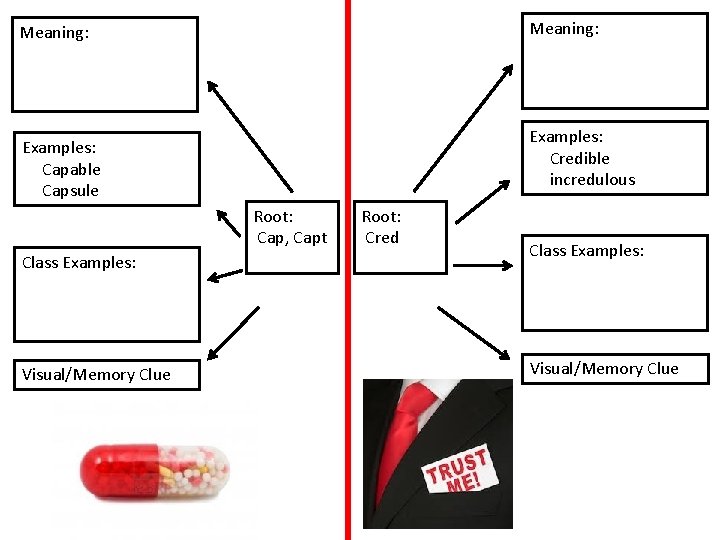 Meaning: Examples: Credible incredulous Examples: Capable Capsule Class Examples: Visual/Memory Clue Root: Cap, Capt