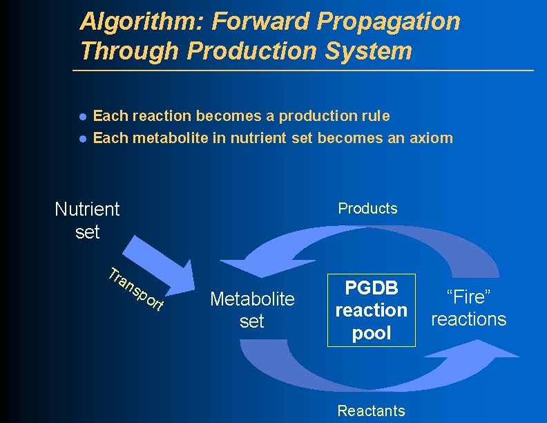 Algorithm: Forward Propagation Through Production System l l Each reaction becomes a production rule