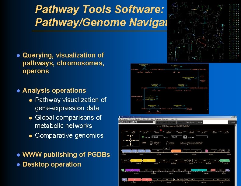 Pathway Tools Software: Pathway/Genome Navigator l Querying, visualization of pathways, chromosomes, operons l Analysis