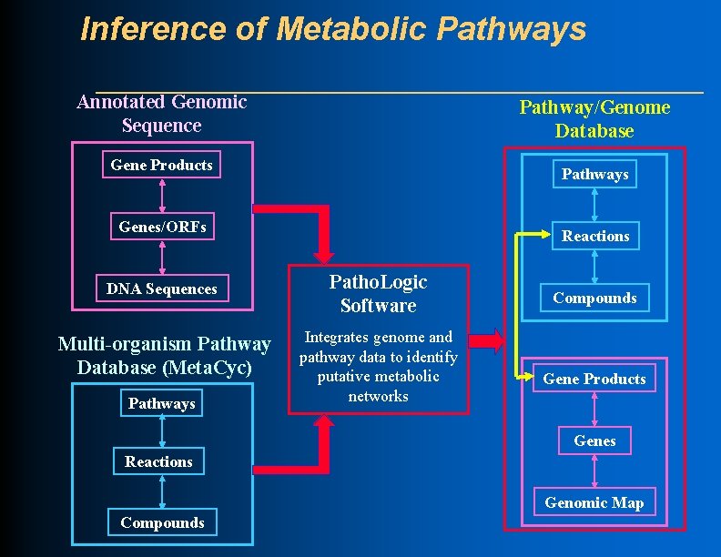 Inference of Metabolic Pathways Annotated Genomic Sequence Pathway/Genome Database Gene Products Pathways Genes/ORFs DNA