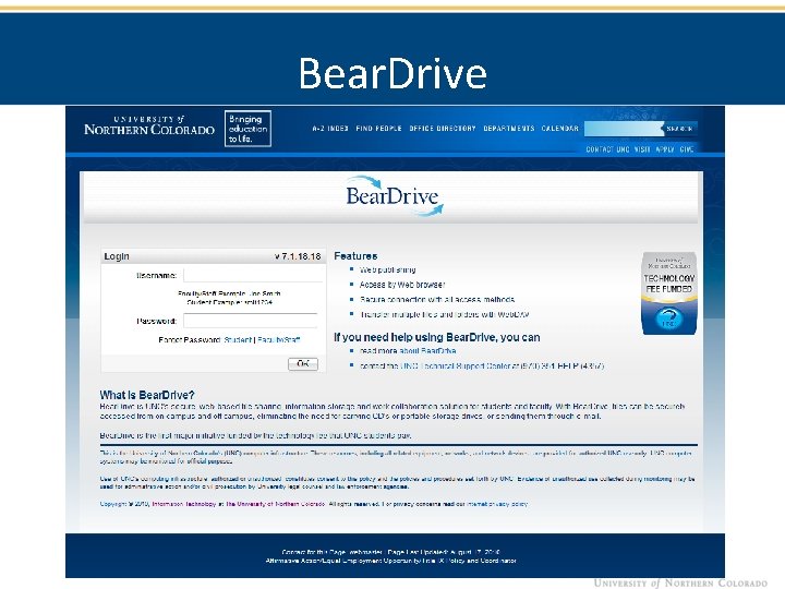 Bear. Drive 