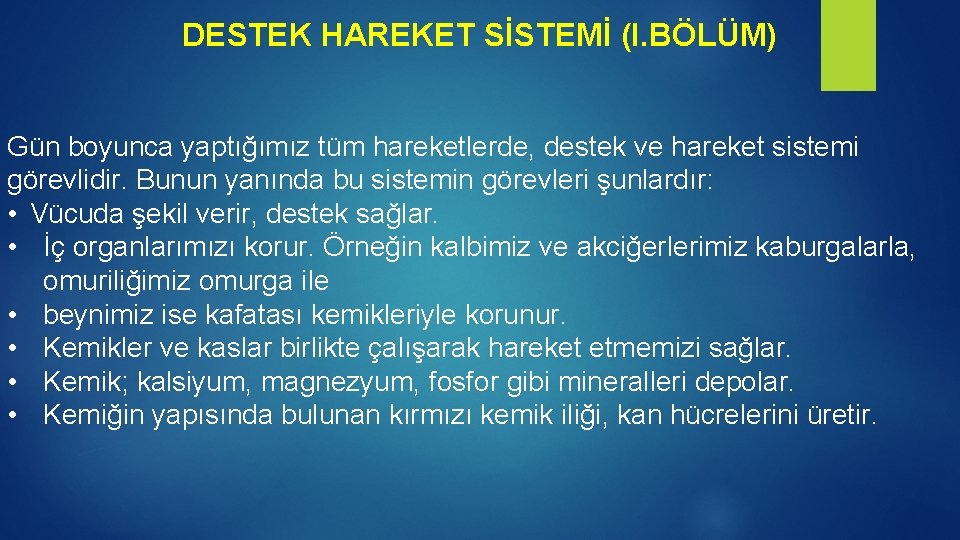 DESTEK HAREKET SİSTEMİ (I. BÖLÜM) Gün boyunca yaptığımız tüm hareketlerde, destek ve hareket sistemi