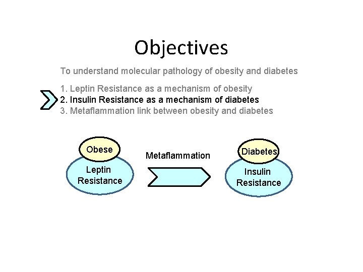 Objectives To understand molecular pathology of obesity and diabetes 1. Leptin Resistance as a