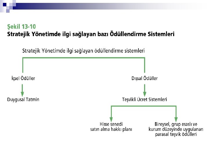 © Ülgen&Mirze 2004 
