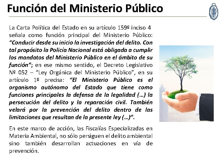 Función del Ministerio Público La Carta Política del Estado en su artículo 159º inciso