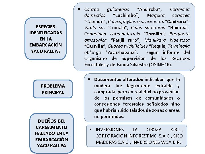 ESPECIES IDENTIFICADAS EN LA EMBARCACIÓN YACU KALLPA PROBLEMA PRINCIPAL DUEÑOS DEL CARGAMENTO HALLADO EN