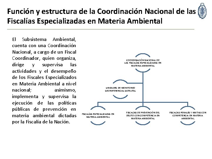 Función y estructura de la Coordinación Nacional de las Fiscalías Especializadas en Materia Ambiental