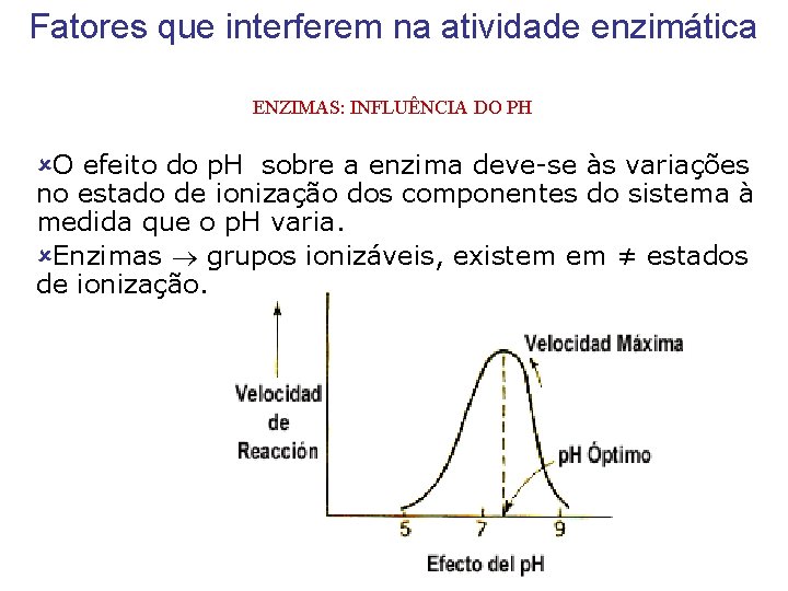 Fatores que interferem na atividade enzimática ENZIMAS: INFLUÊNCIA DO PH ûO efeito do p.