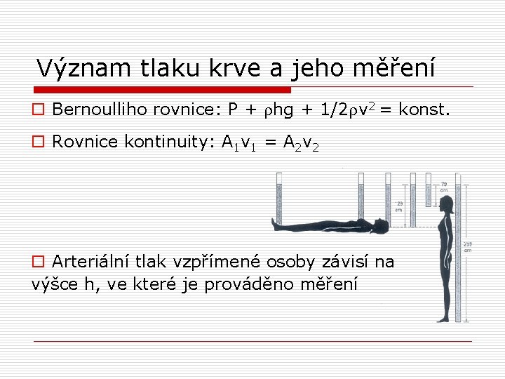 Význam tlaku krve a jeho měření o Bernoulliho rovnice: P + hg + 1/2