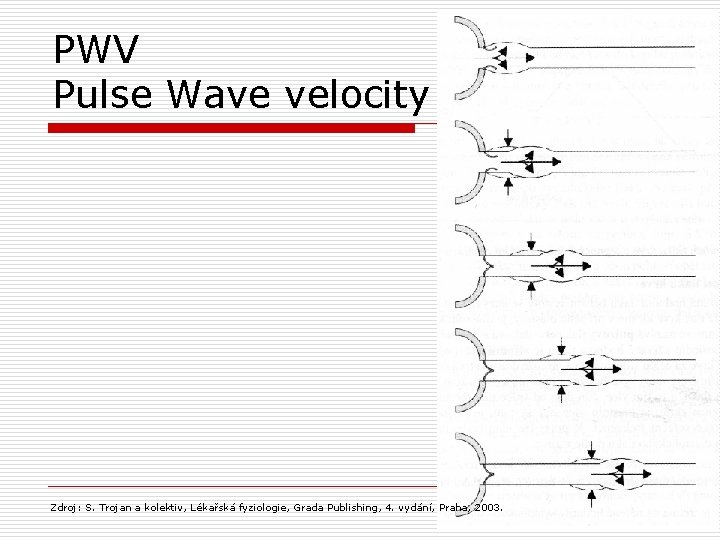 PWV Pulse Wave velocity Zdroj: S. Trojan a kolektiv, Lékařská fyziologie, Grada Publishing, 4.