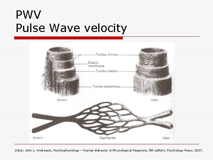 PWV Pulse Wave velocity Zdroj: John L. Andreassi, Psychophysiology – Human Behavior & Physiological