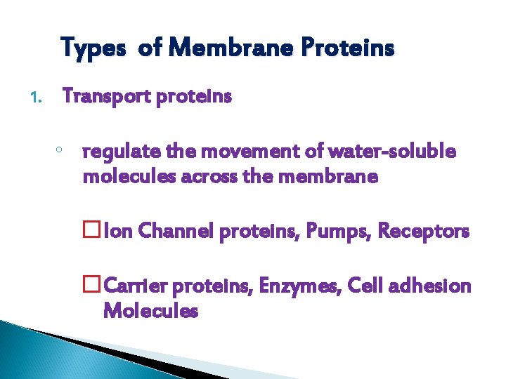 Types of Membrane Proteins 1. Transport proteins ◦ regulate the movement of water-soluble molecules