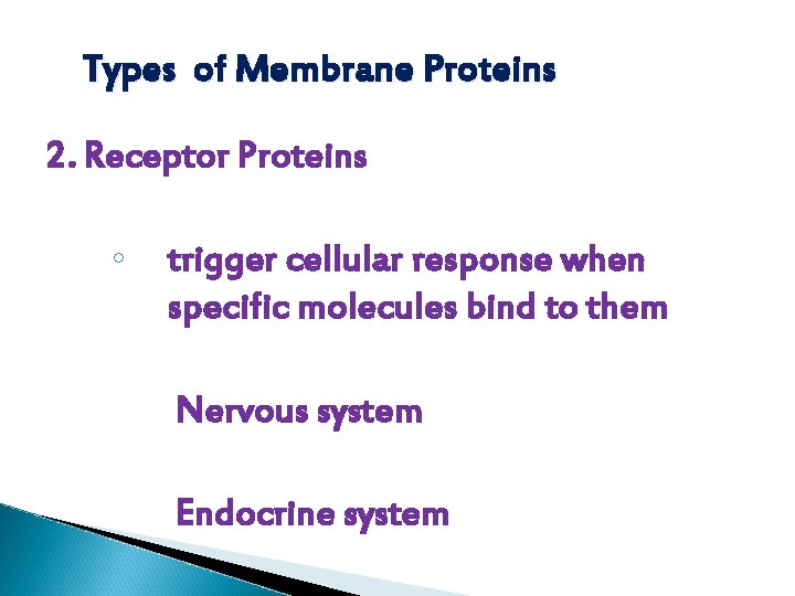 Types of Membrane Proteins 2. Receptor Proteins ◦ trigger cellular response when specific molecules