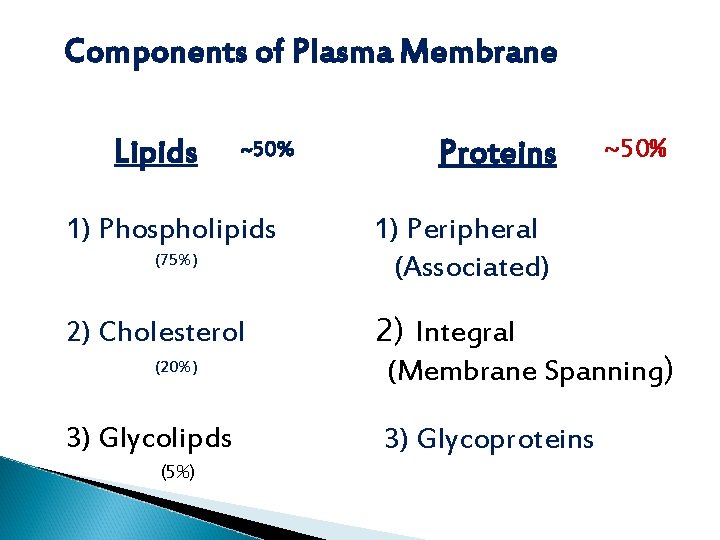 Components of Plasma Membrane Lipids ~50% 1) Phospholipids (75%) 2) Cholesterol (20%) 3) Glycolipds