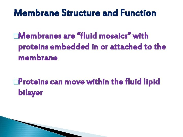 Membrane Structure and Function �Membranes are “fluid mosaics” with proteins embedded in or attached