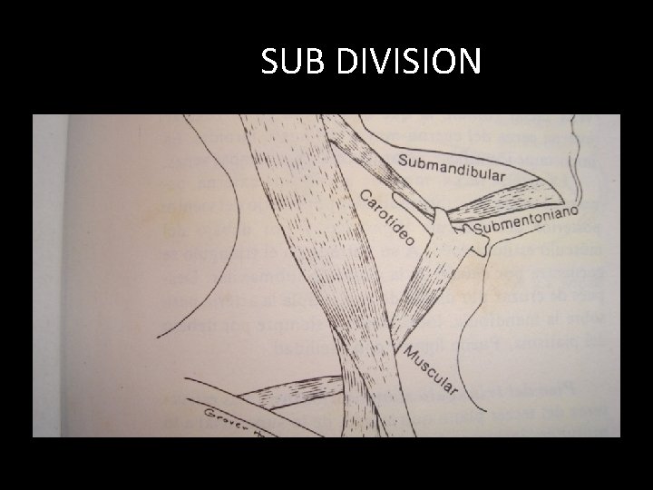 SUB DIVISION 