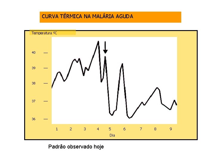 CURVA TÉRMICA NA MALÁRIA AGUDA Temperatura OC 40 __ 39 __ 38 __ 37