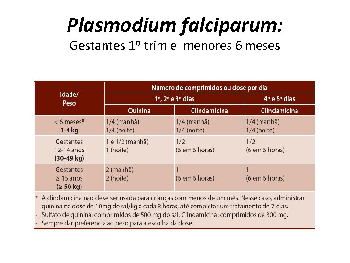 Plasmodium falciparum: Gestantes 1º trim e menores 6 meses 