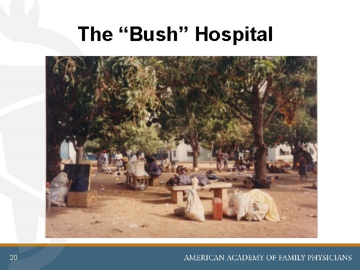 The “Bush” Hospital 20 