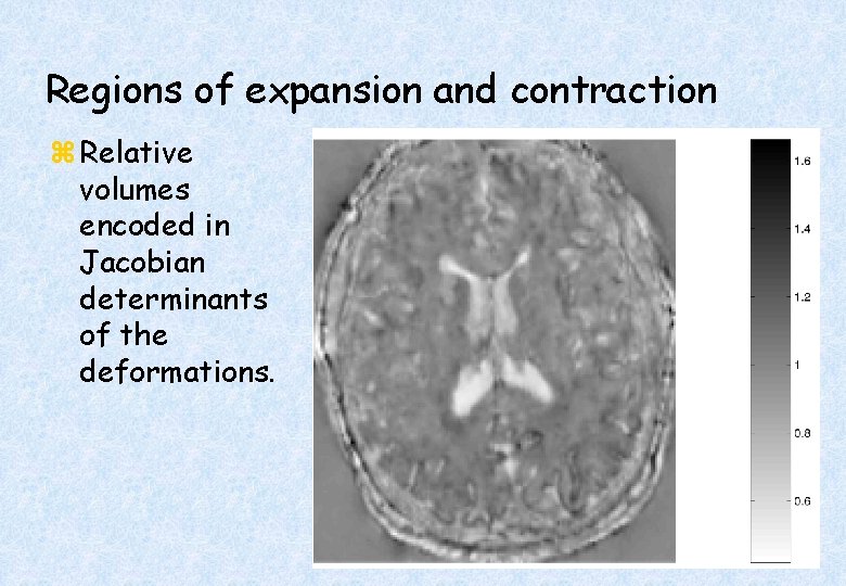 Regions of expansion and contraction z Relative volumes encoded in Jacobian determinants of the