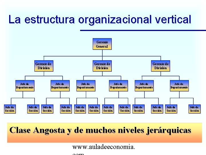 La estructura organizacional vertical Gerente General Gerente de División Jefe de Departamento Jefe de