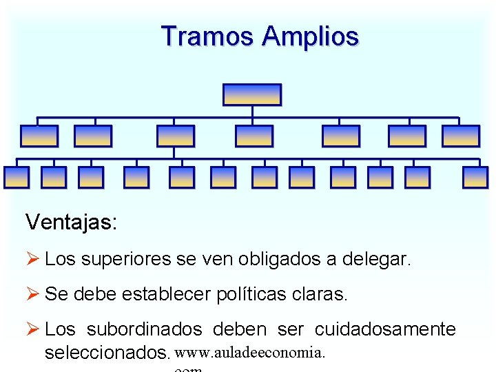 Tramos Amplios Ventajas: Los superiores se ven obligados a delegar. Se debe establecer políticas