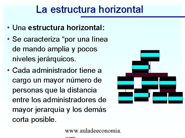 La estructura horizontal • Una estructura horizontal: • Se caracteriza “por una línea de