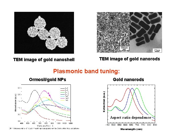 TEM image of gold nanoshell TEM image of gold nanorods Plasmonic band tuning: Ormosil/gold