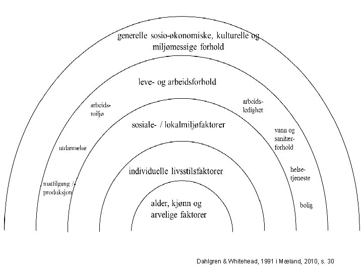 Dahlgren & Whitehead, 1991 i Mæland, 2010, s. 30 