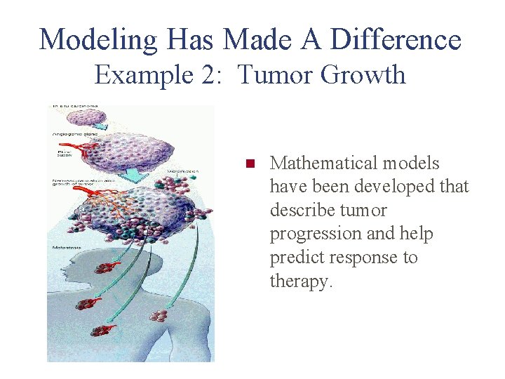 Modeling Has Made A Difference Example 2: Tumor Growth n Mathematical models have been