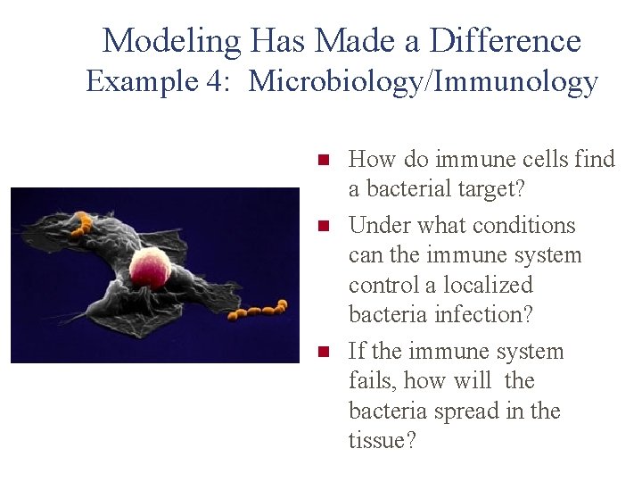 Modeling Has Made a Difference Example 4: Microbiology/Immunology n n n How do immune