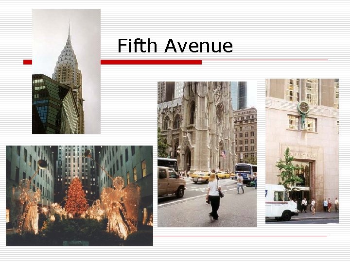 Fifth Avenue 
