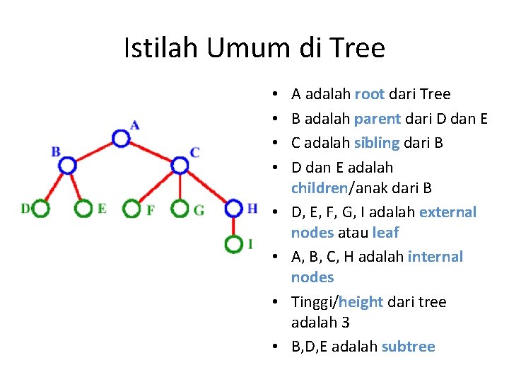 Istilah Umum di Tree • • A adalah root dari Tree B adalah parent