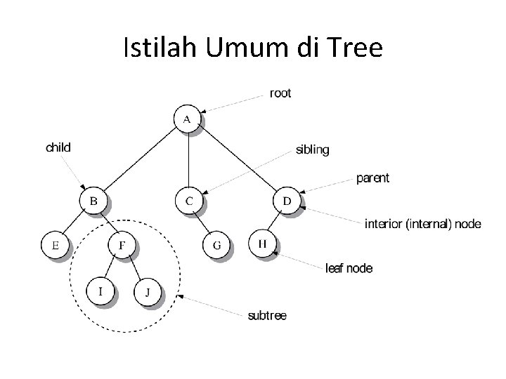 Istilah Umum di Tree Istilah Umum di Tree