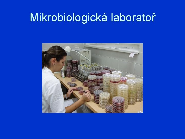 Mikrobiologická laboratoř 