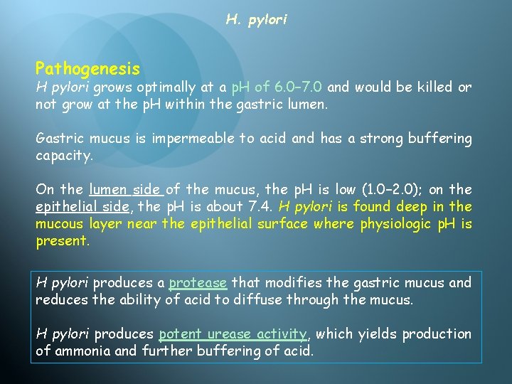 H. pylori Pathogenesis H pylori grows optimally at a p. H of 6. 0–