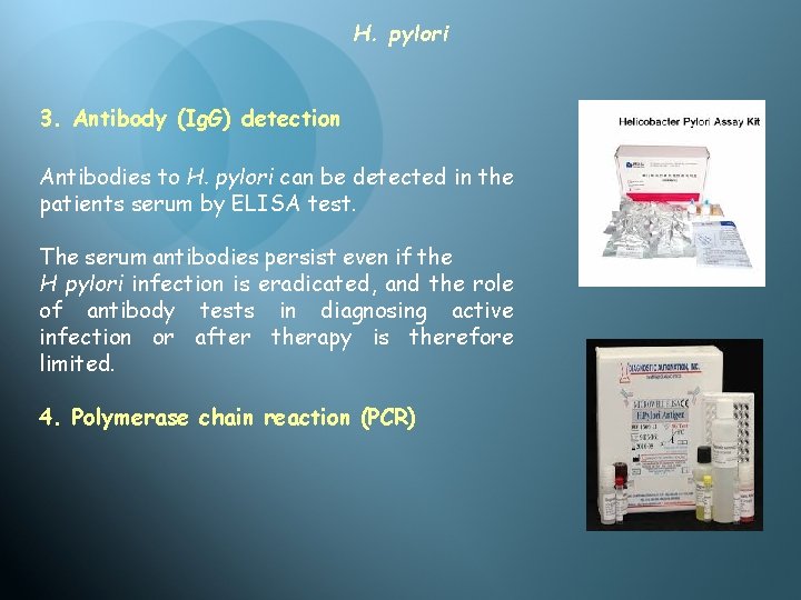 H. pylori 3. Antibody (Ig. G) detection Antibodies to H. pylori can be detected