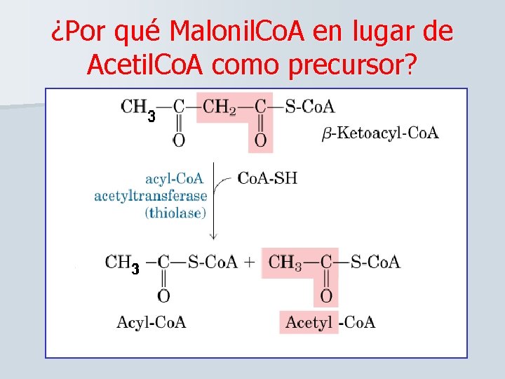 ¿Por qué Malonil. Co. A en lugar de Acetil. Co. A como precursor? 3